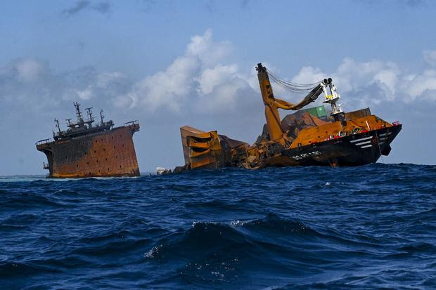 A sunken cargo ship has caused a major ocean and wildlife disaster