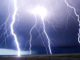 4 homes within 1 mile of each other were all struck by lightning